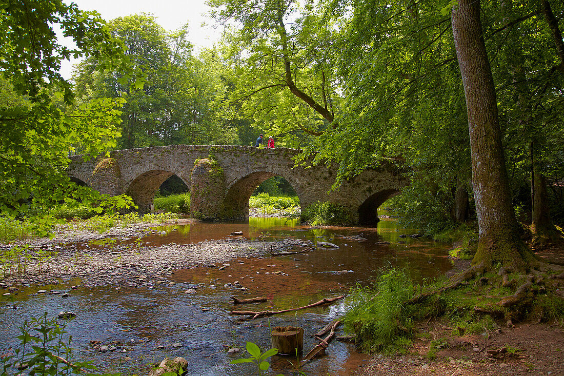 Blick auf die alte Bogenbrücke über die Große Nister, Nistertal, Abtei Marienstatt, Westerwald, Rheinland-Pfalz, Deutschland, Europa