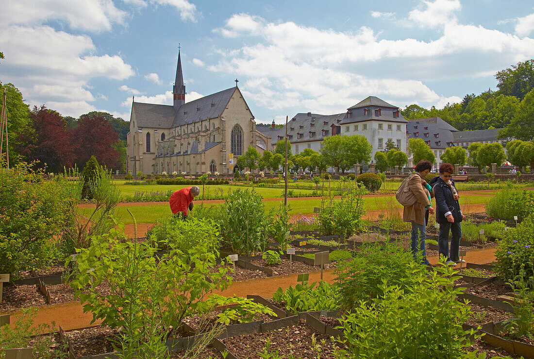 View across the herbal garden at Abtei Marienstatt (13th century), Nistertal, Streithausen, Westerwald, Rhineland-Palatinate, Germany, Europe