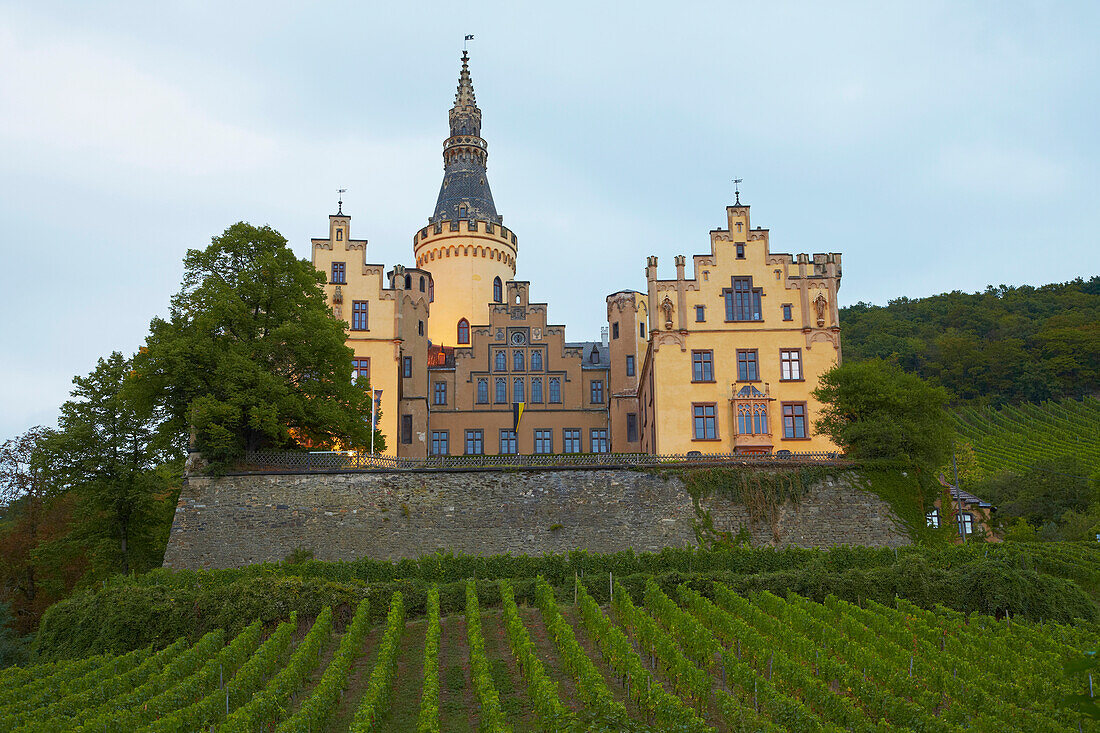 Arenfels castle near Bad Hoenningen, Rhineland-Palatinate, Germany, Europe