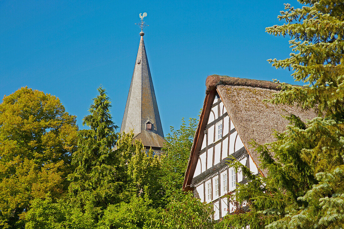Kirchturm der romanischen Kirche (um 1200) und riedgedecktes Haus in Mehren bei Altenkirchen, Westerwald, Rheinland-Pfalz, Deutschland, Europa
