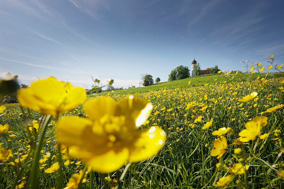 Saint-Jean-Baptiste Church, Holzhausen, Munsing, Bavaria, Germany