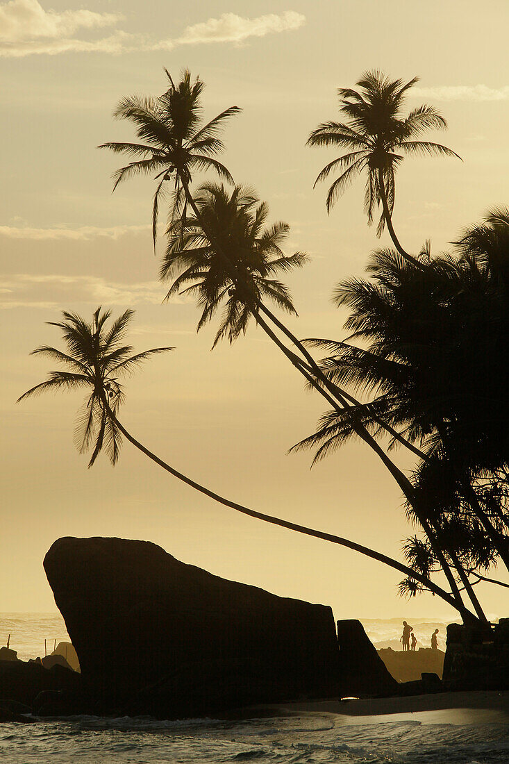 Beach of Unawatuna, Galle District, Southern Province, Sri Lanka