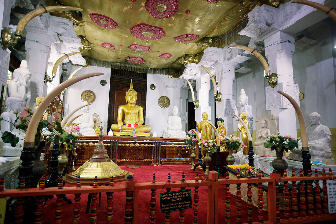 Buddhastatue, Sri Dalada Maligawa, Zahnpalast, Kandy, Zentralprovinz, Sri Lanka