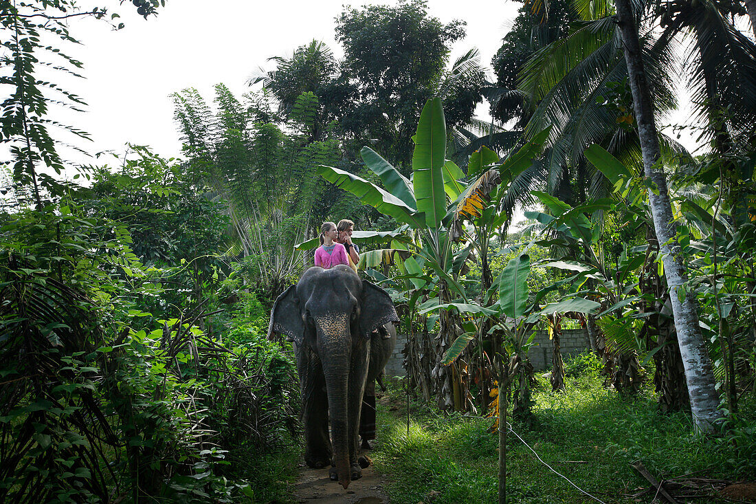 Vater und Tochter auf einem Elefanten, Kegalle, Sabaragamuwa, Sri Lanka