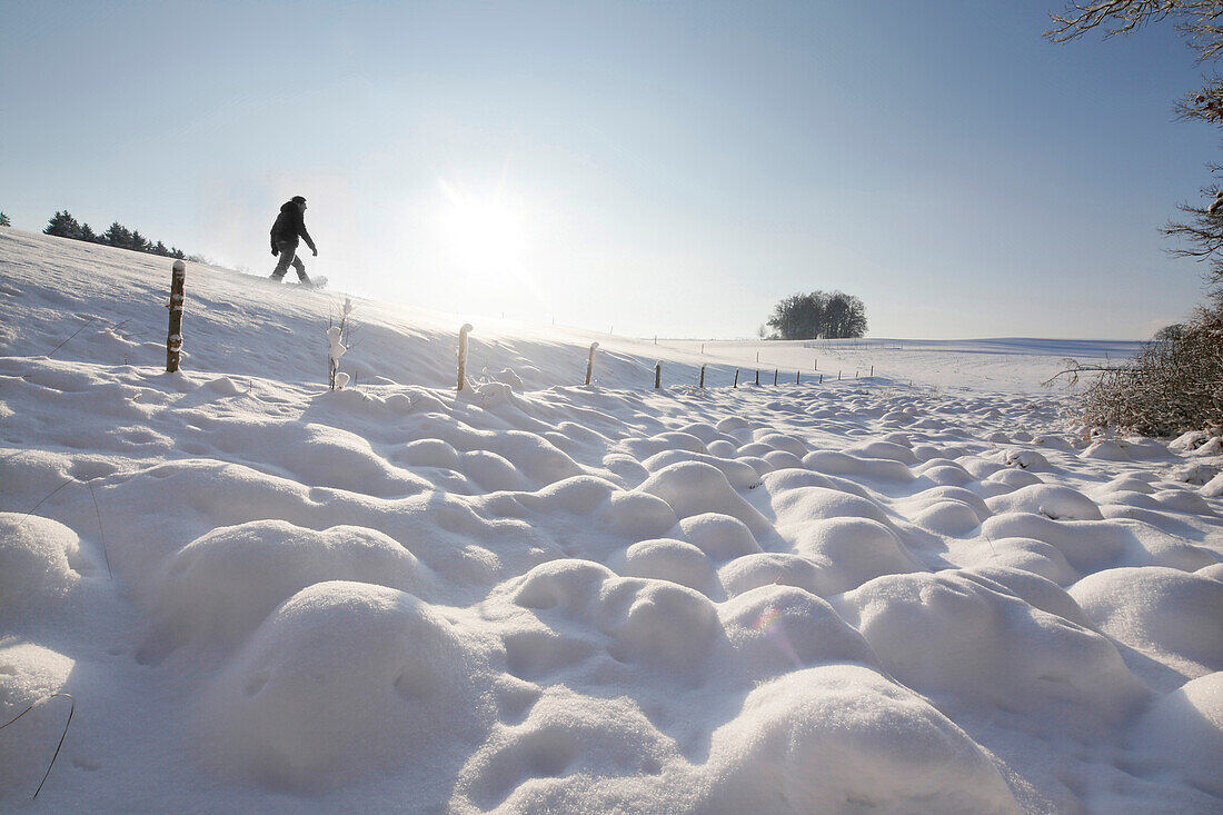 Man walking through snow, Buchsee, Munsing, Bavaria, Germany