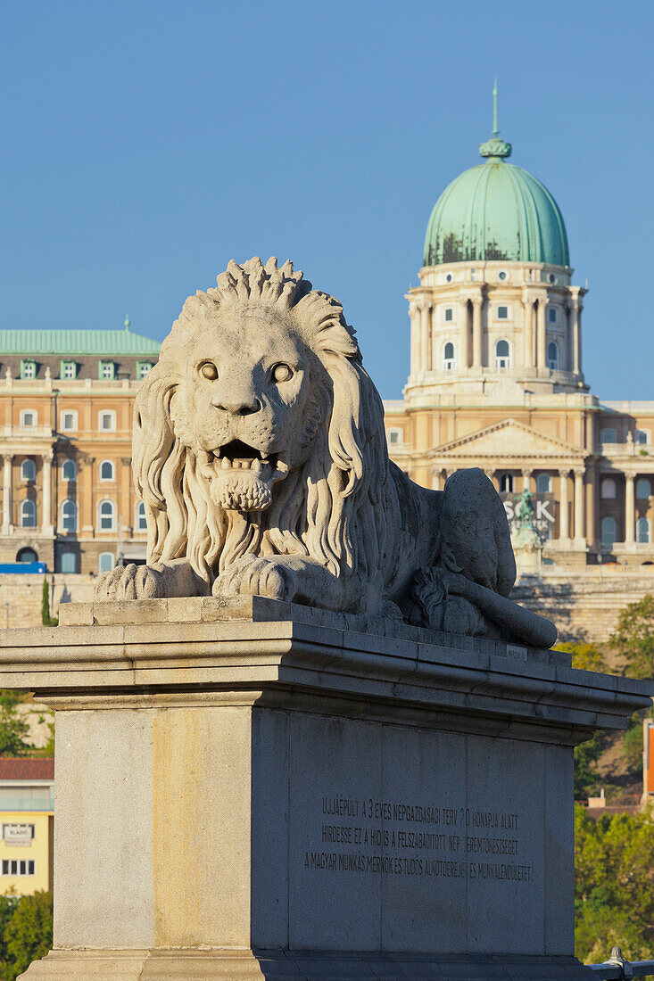 Löwenstatue auf der Kettenbrücke vor dem Burgpalast, Buda, Budapest, Ungarn