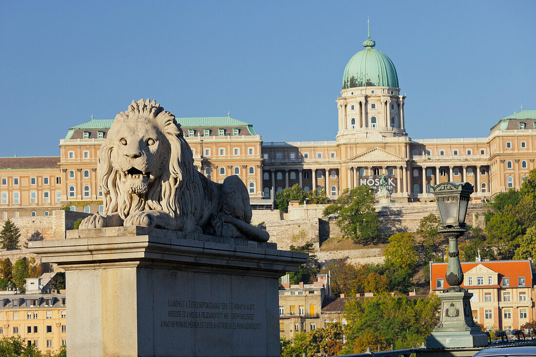 Lion statue, Chain Bridge, Buda Castle, Budapest, Hungary