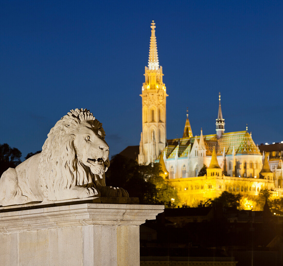 Lion statue on the Chain Bridge, Matthias Church, Buda, Budapest, Hungary