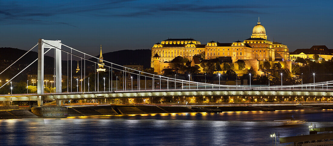 Burgpalast und Elisabethbrücke im Abendicht, Donau, Budapest, Ungarn