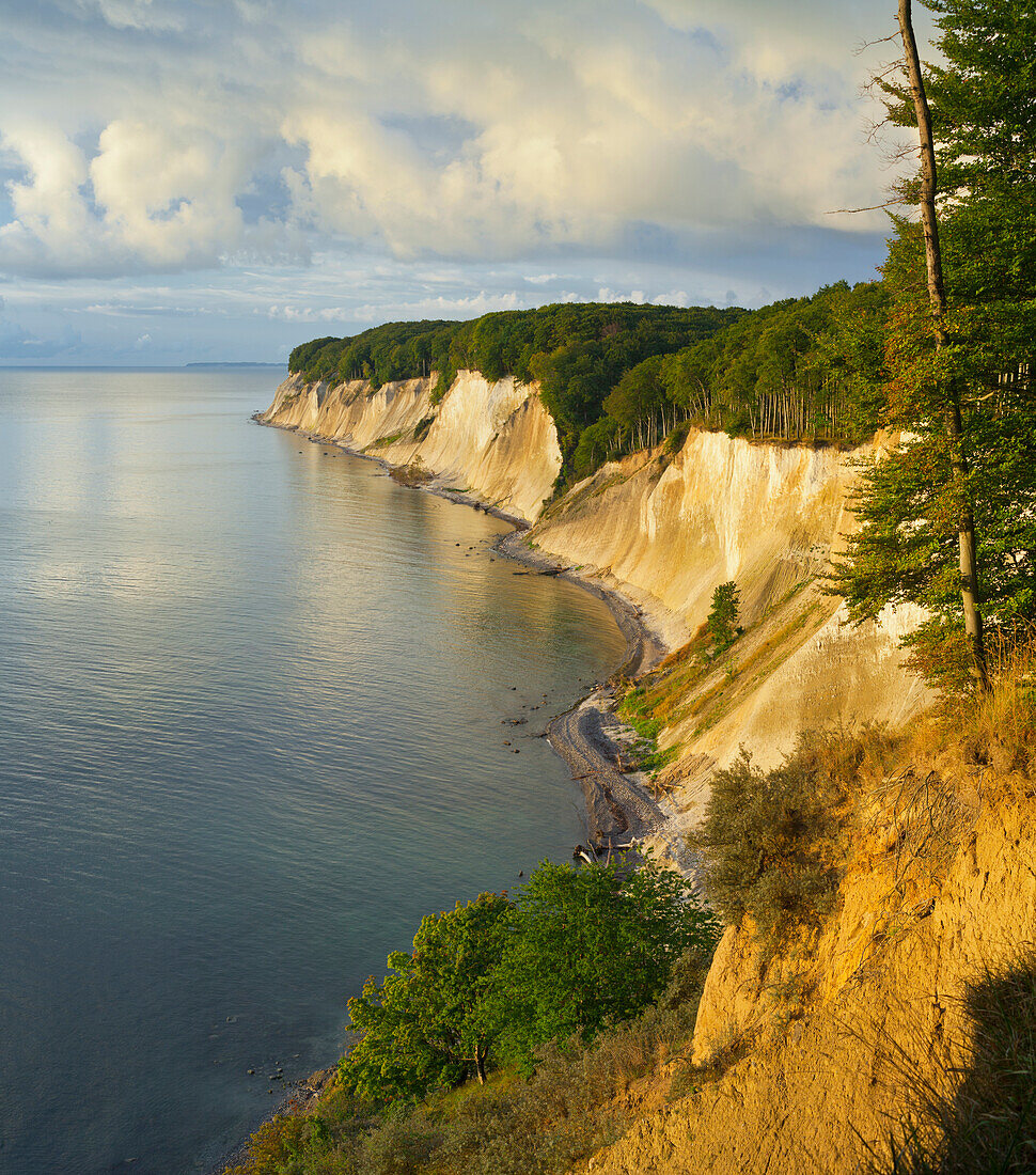 Kreidefelsen, Jasmund Nationalpark, Rügen, Mecklenburg-Vorpommern, Deutschland