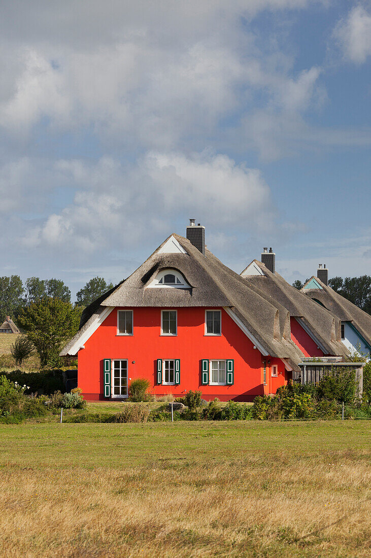 Moderne Reetdachhäuser, Ahrenshoop, Mecklenburg-Vorpommern, Deutschland