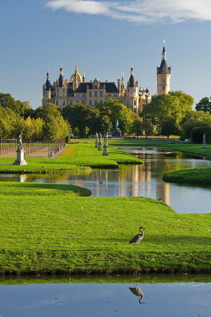 Gray heron at Schwerin castle, Schlossinsel, Schwerin, Innensee, Mecklenburg-Vorpommern, Germany