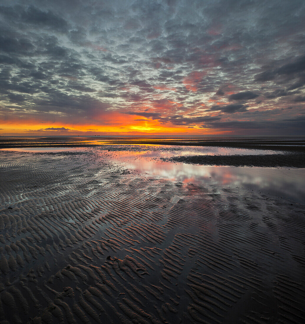 Sonnenaufgang im Watt, nahe List, Sylt, Schleswig-Holstein, Deutschland