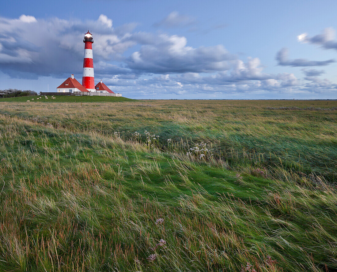 Leuchtturm Westerhever, Schleswig-Holstein, Deutschland