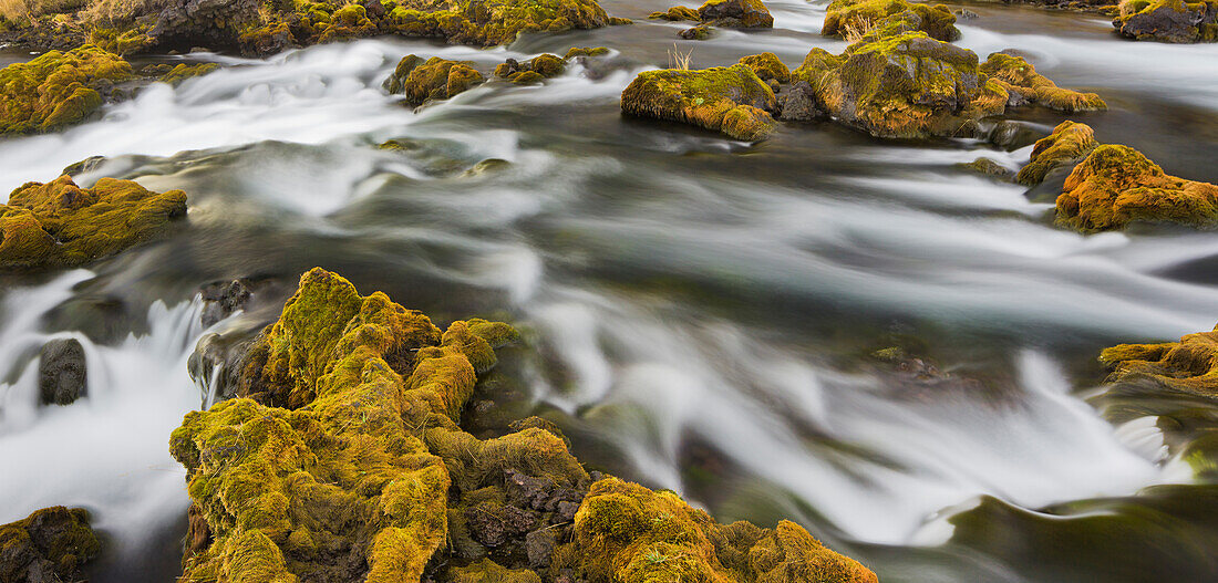 moosbedeckte Steine nahe Foss, Deverghamrar, Südisland, Island