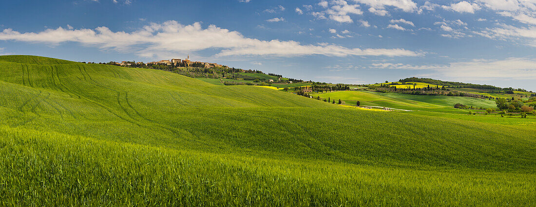 Grüne Felder im Sommer unter dem blauen Himmel, Toskana, Italien