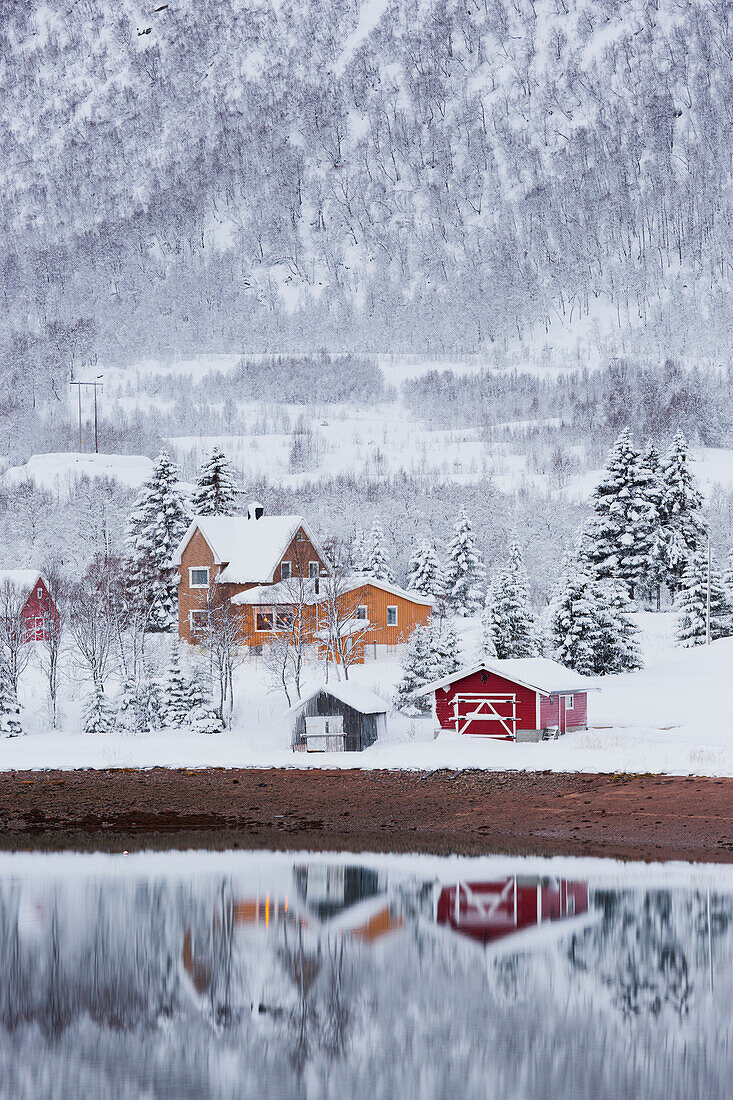 Reflection of houses in the fjord, Fiskefjorden, Hinnoya, Vesteralen, Nordland, Norway