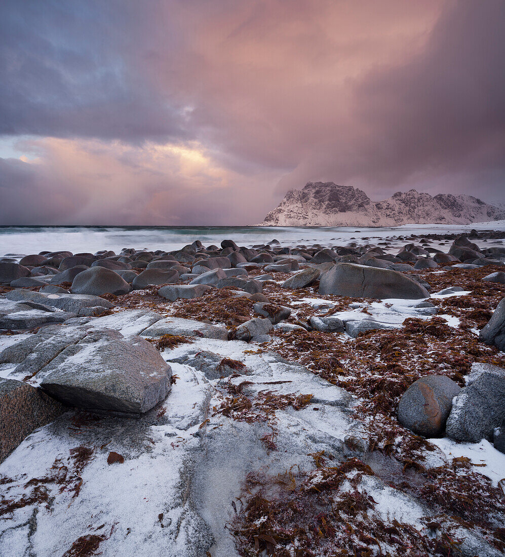 Küste bei Utakleiv, Vestvagoya, Lofoten, Nordland, Norwegen