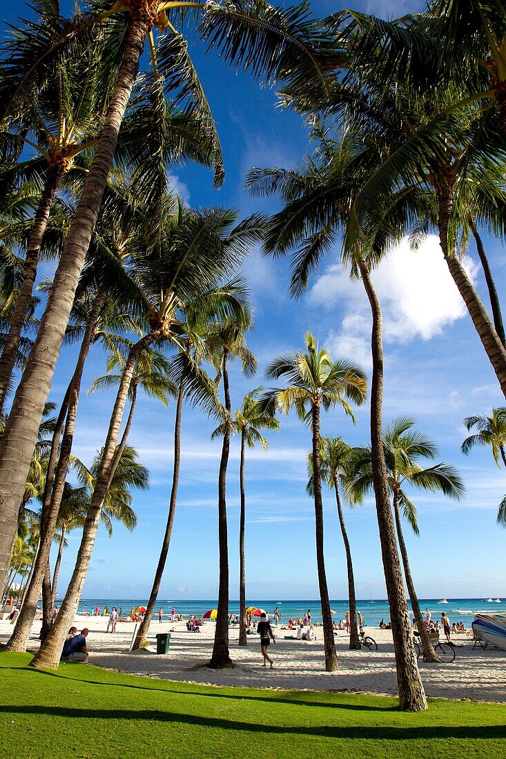 Waikiki Beach, O`ahu Island, Hawaii, USA
