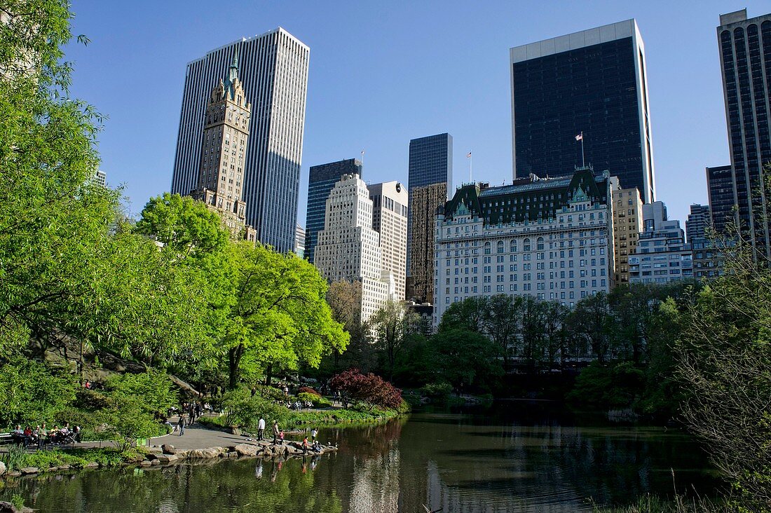 Skyscrapers and central park, Central park, Manhattan, New York, USA