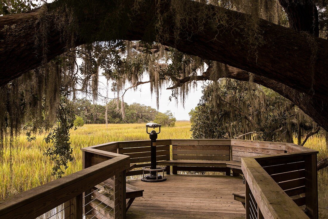 Binocular viewer on salt marsh boardwalk at Honey Horn Plantation on Hilton Head Island, SC