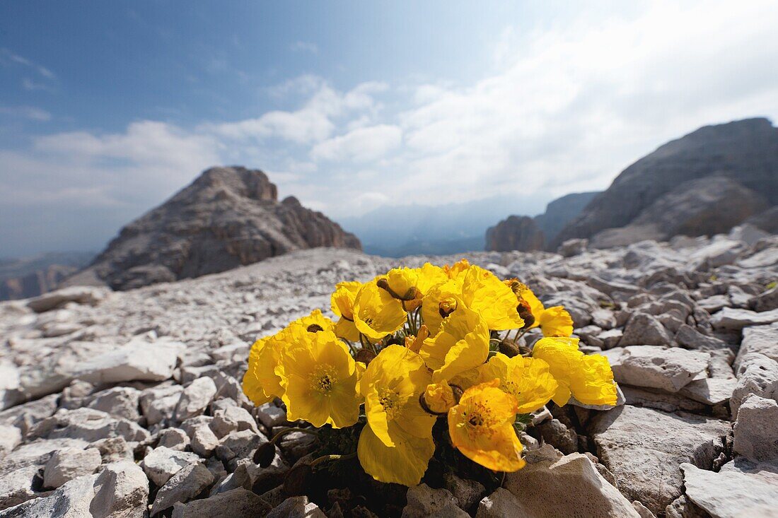 Hiking on the high route 2 in the Dolomites, Alps, Italy, Europe