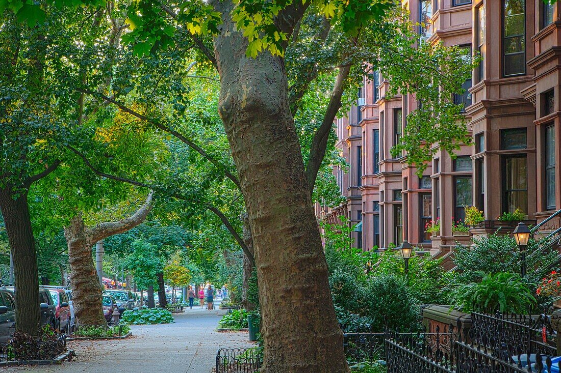 Brownstone row houses in the Park Slope neighborhood in Brooklyn, New York