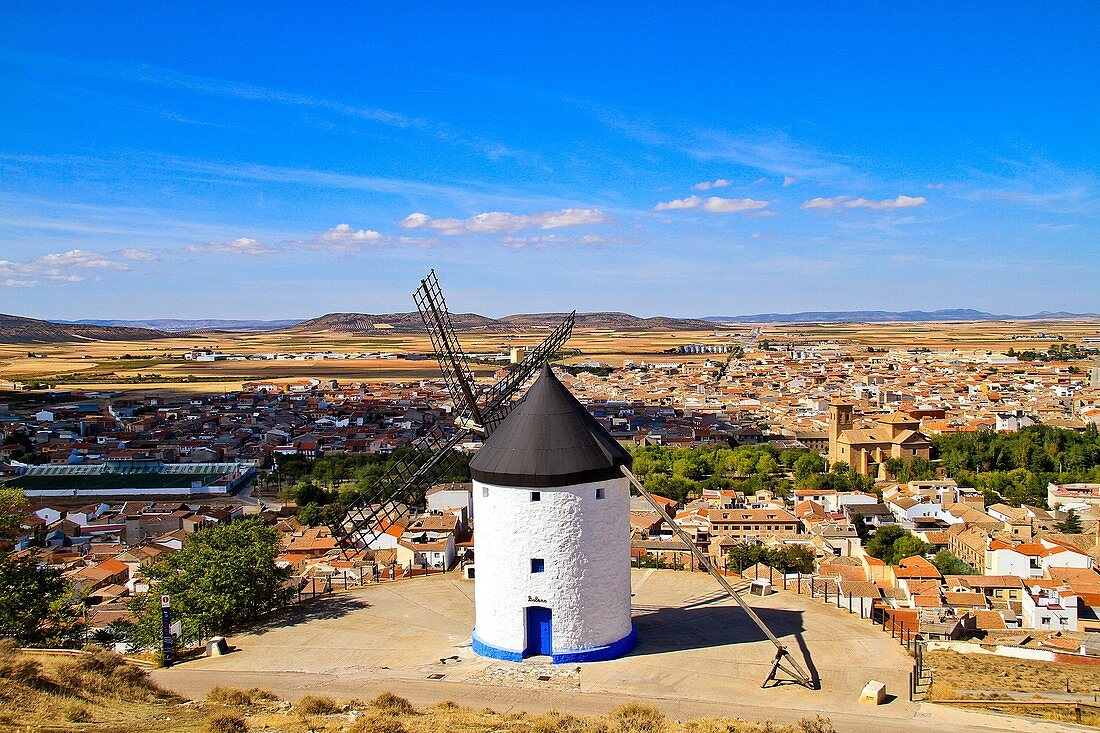 Windmill and Consuegra town, Toledo, Castile La Mancha, Spain