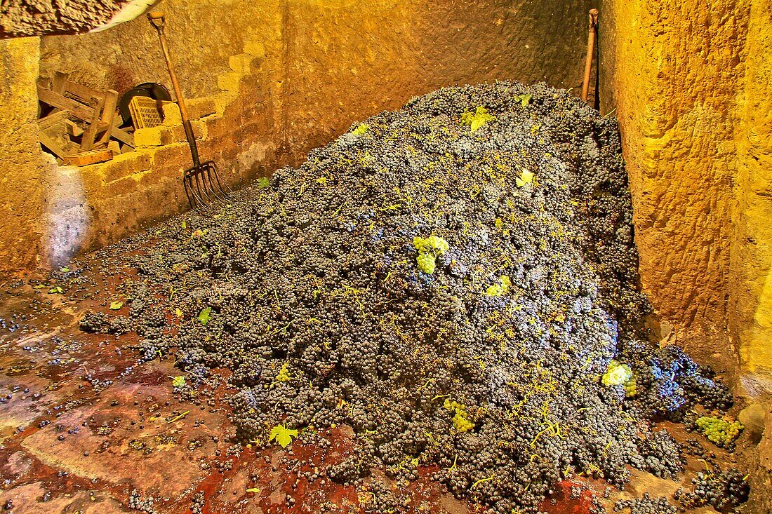 Private wine rustic cellar in Benavente, Zamora, Spain