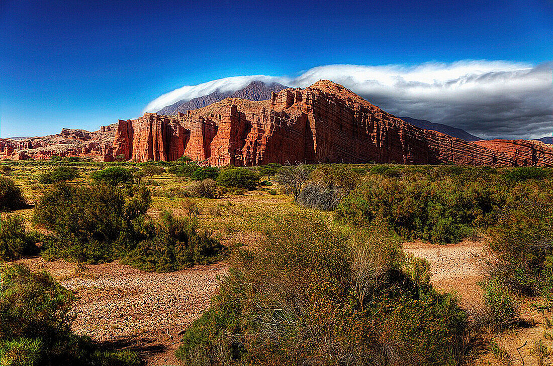 quebrada de las conchas salta