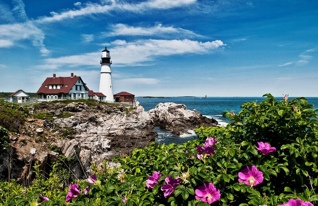 Beautiful scenic Maine in Portland Maine at the Portland Head Lighthouse with rocks on shore and flowers