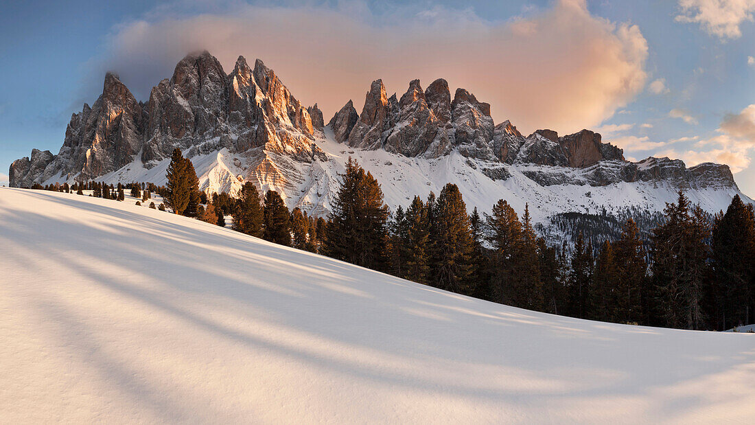 Tief stehende Sonne über den Gipfeln der Geislergruppe mit Zirbelkiefern im Vordergrund im Winter, Villnößtal, Dolomiten, Italien