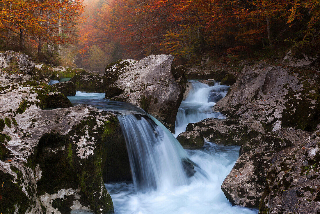 Blick auf den klaren Bergbach Mostnice und seinen Flusslauf durch die urwüchsigen Buchenwälder des Triglav Nationalpark im Morgennebel, Gorenjska, Slowenien