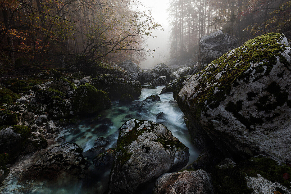 Dense morning fog over the river Savica and the rocks in the stream bed, Gorenjska, Slovenia