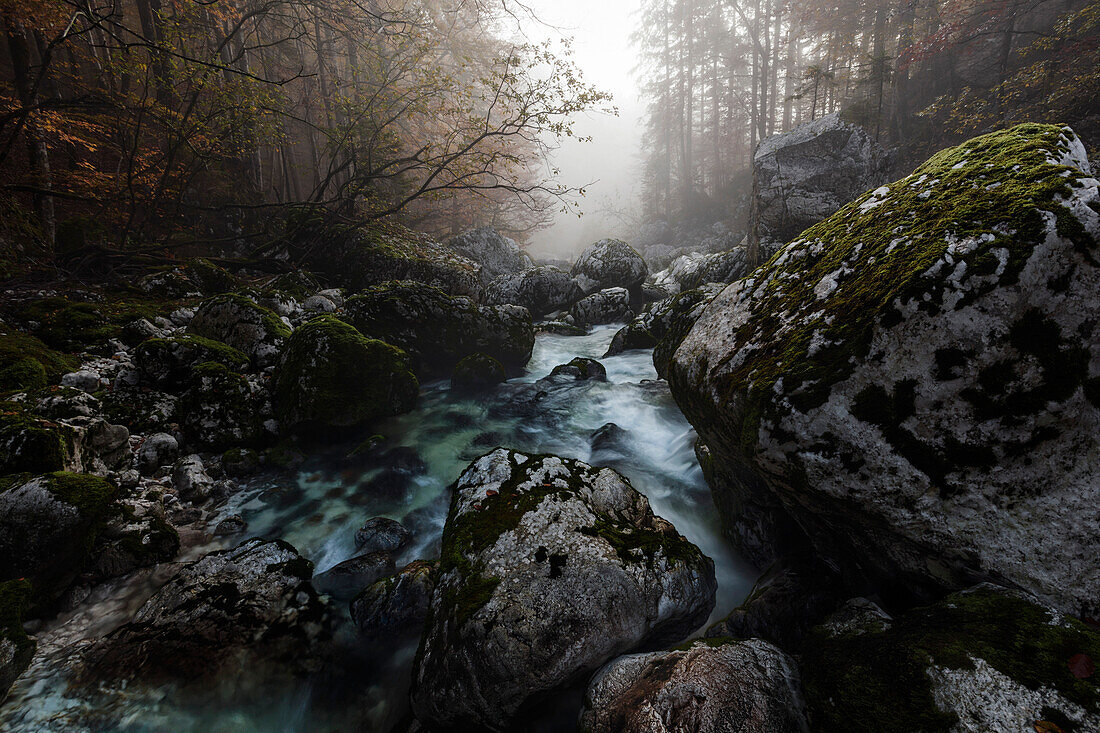 Dichter Morgennebel über dem Fluss Savica und den Felsen im Bachbett, Gorenjska, Slowenien