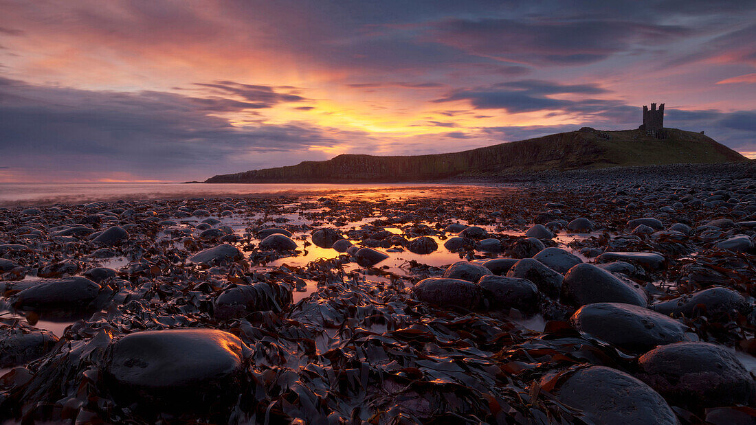 Spectacular sunrise above the ruins of Dunstanburgh Castles in Northumberland, England, Great Britain