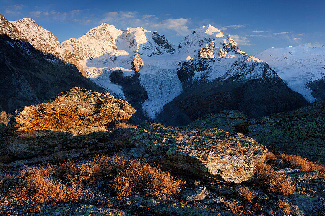 Letztes Tageslicht auf den Gipfeln des Rosegtales, von links erheben sich Piz Morteratsch (3751 m), Piz Bernina (4048 m), Piz Scerscen (3971 m) und Piz Roseg (3987 m) über dem mächtigen Tschiervagletscher, Engadin, Schweiz
