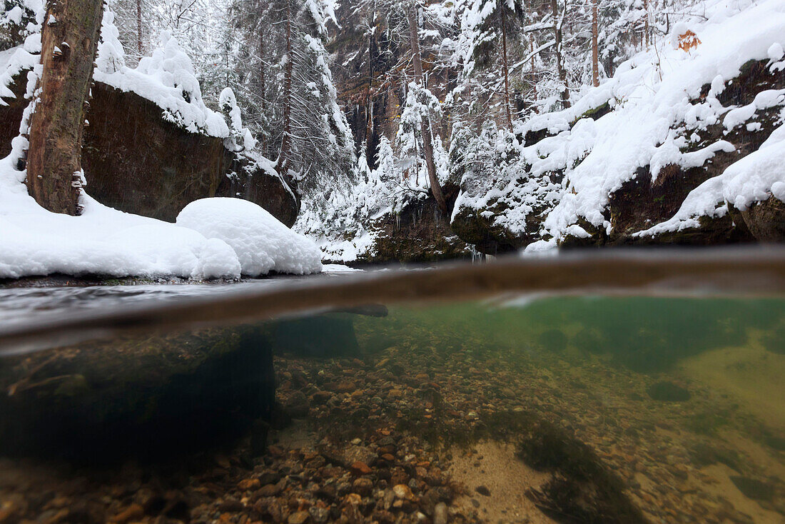View beneath the water surface of the Kirnitzsch river in the heavily snow covered Saxon Switzerland national park, Saxony, Germany