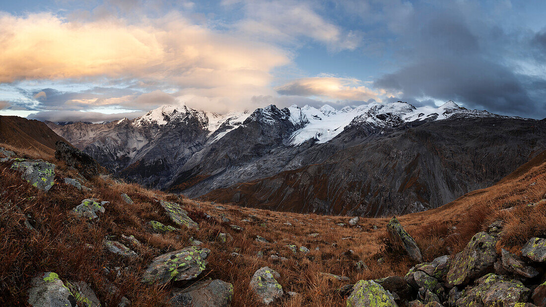 An impressive panorama of the Ortler Alps from a mountain meadow above the Stelvio Pass on an autumn evening, South Tyrol, Italy