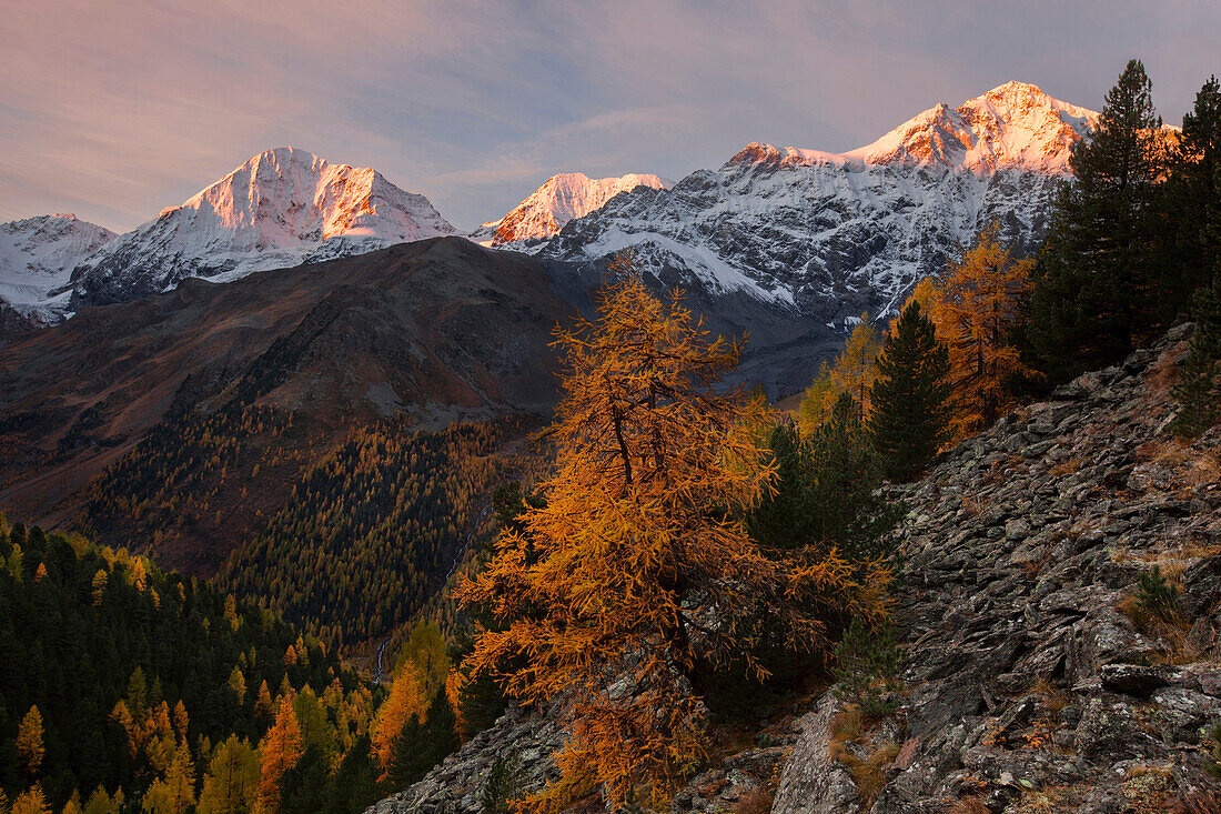 Malerischer Sonnenaufgang über der Ortlergruppe mit den Gipfeln Königsspitze (3859 m), Monte Zebrù (3735 m) und Ortler (3899 m) (von links) im Herbst, Südtirol, Italien