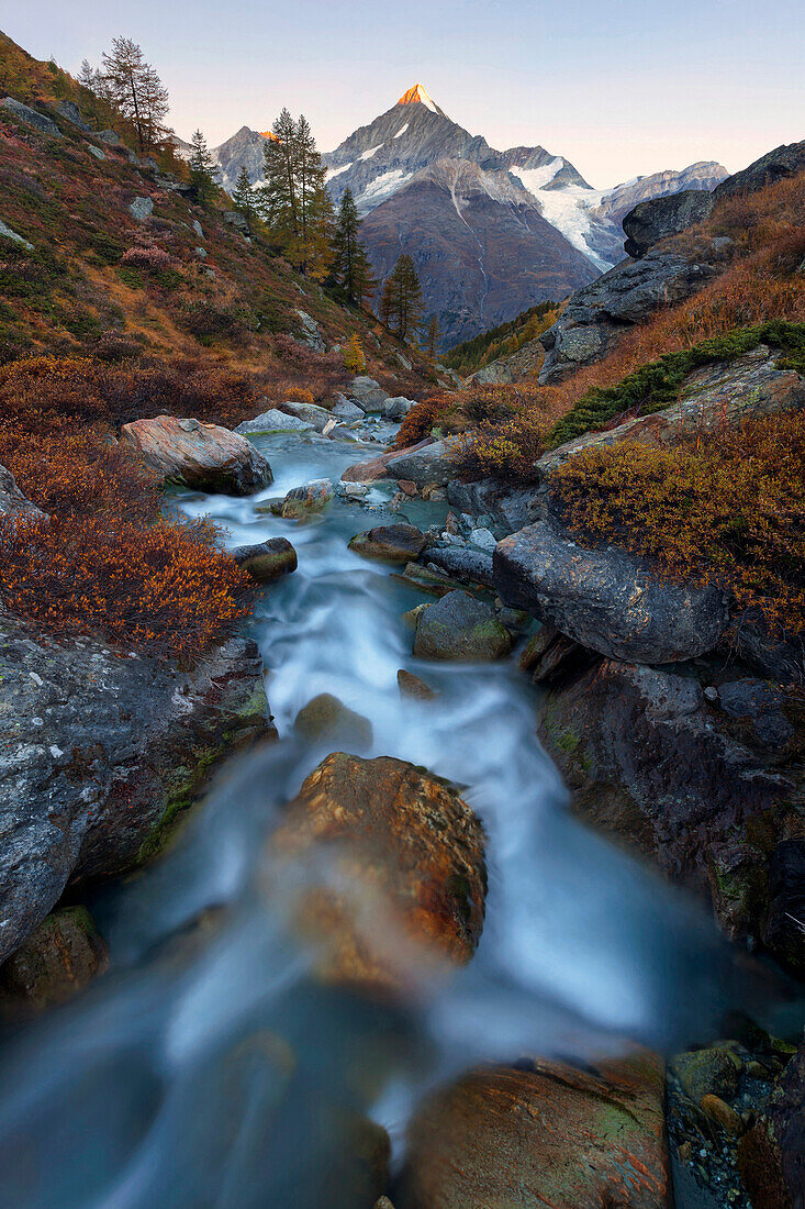 First daylight above the Taeschalp with mountain stream and alpenglow on the summit of the Weisshorn, Valais, Switzerland