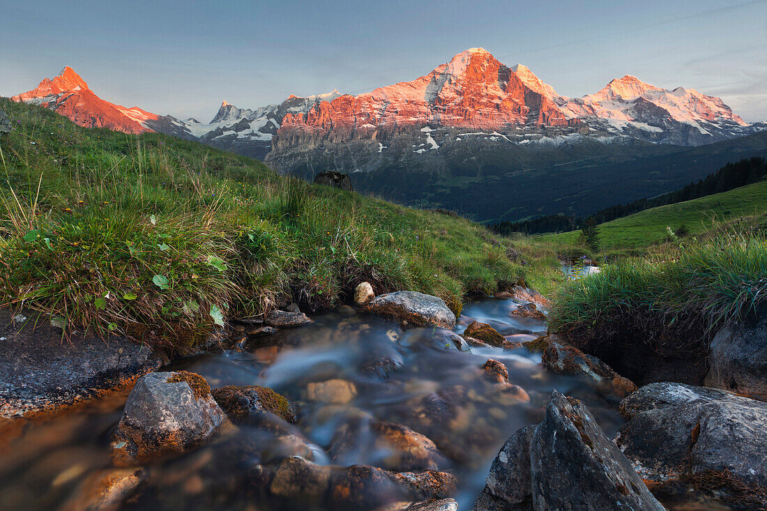 Last daylight above a mountain pasture with a stream, alpenglow on the mountain peaks of Schreckhorn, Finsteraarhorn, Eiger, Mönch and Jungfrau in the background, Bernese Oberland, Switzerland