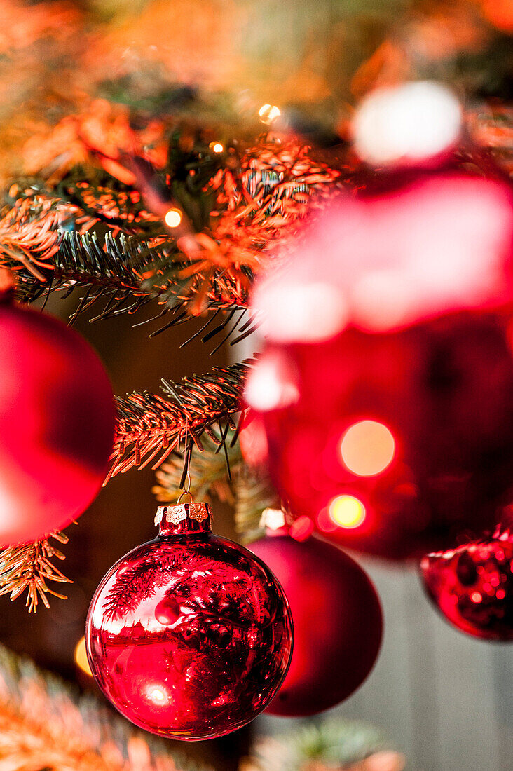 Red glass baubles on the christmas tree, Hamburg, Germany