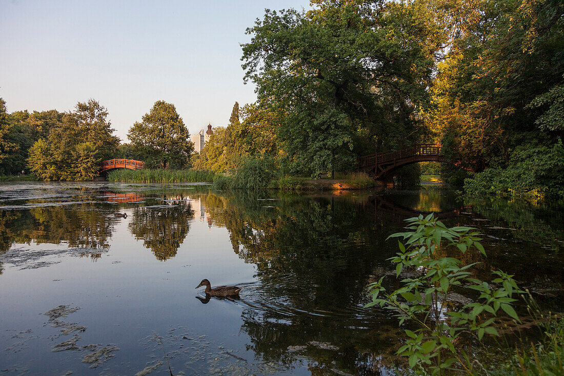 Pond in park Johannapark, Leipzig, Saxony, Germany