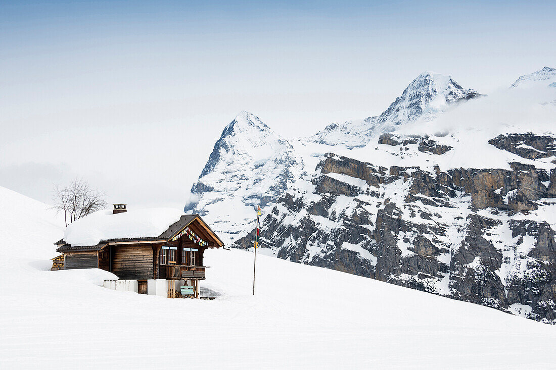 Blockhütten und Bergpanorama,  Gimmeln, im Hintergrund der Eiger und der Mönch, Mürren, Berner Oberland, Kanton Bern, Schweiz