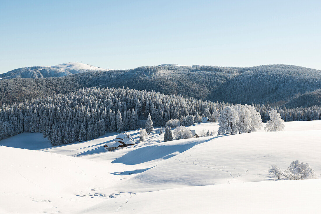 Panoramic view with Feldberg in the background, Schauinsland, near Freiburg im Breisgau, Black Forest, Baden-Wuerttemberg, Germany