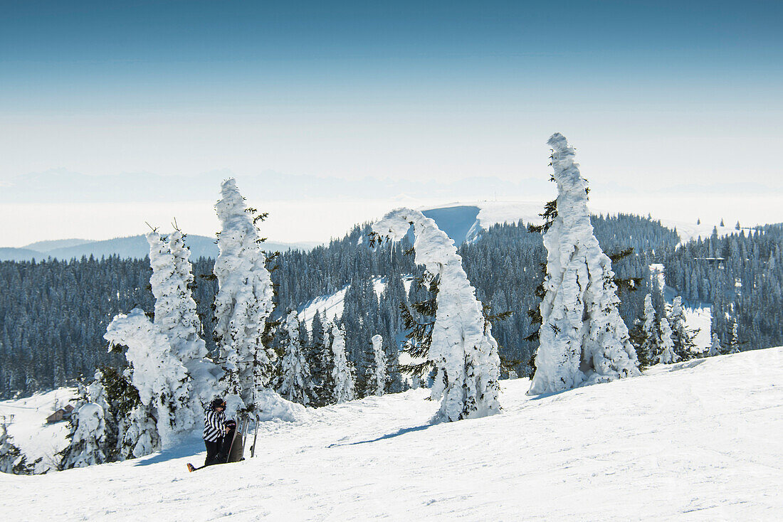 Verschneite Tannen und Skifahrer am Feldberg, Schwarzwald, Baden-Württemberg, Deutschland