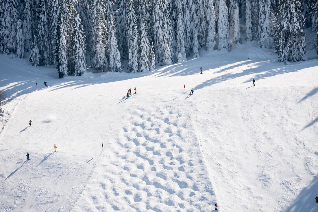 Skiing area, Feldberg, Black Forest, Baden-Wuerttemberg, Germany