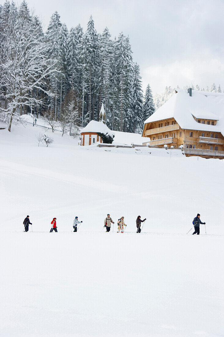 Schneeschuhwanderer, Hinterzarten, Schwarzwald, Baden-Württemberg, Deutschland