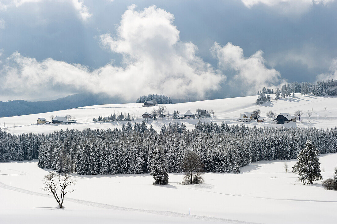 Landschaft bei Breitnau, Nähe Hinterzarten, Schwarzwald, Baden-Württemberg, Deutschland